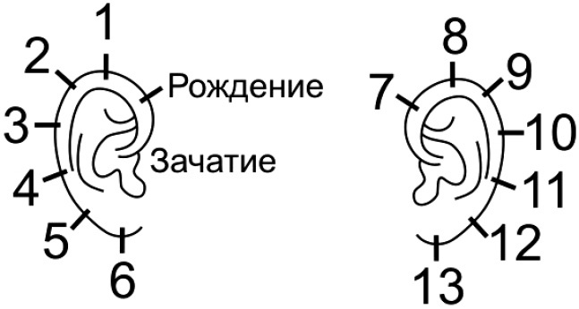 Иллюстрация к книге — Читай лица! Специальная методика чтения лиц и эмоций [i_463.jpg]