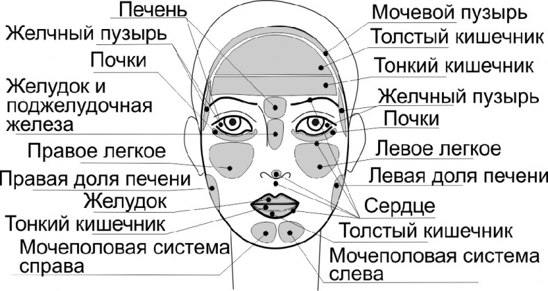 Иллюстрация к книге — Читай лица! Специальная методика чтения лиц и эмоций [i_555.jpg]