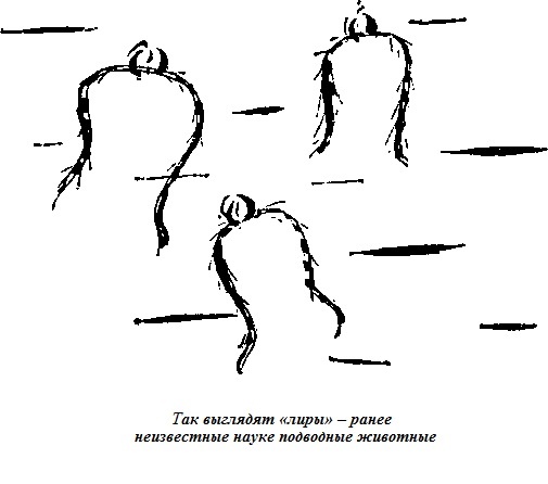 Иллюстрация к книге — Подводная одиссея. &quot;Северянка&quot; штурмует океан [i_016.jpg]