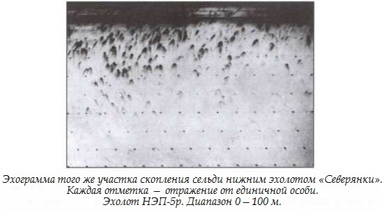 Иллюстрация к книге — Подводная одиссея. &quot;Северянка&quot; штурмует океан [i_018.jpg]