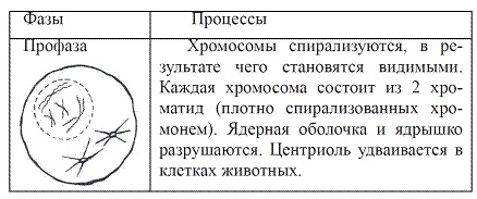 Иллюстрация к книге — Как достичь надежности в близких отношениях и уверенности в себе [pic_12.jpg]