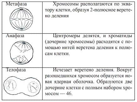 Иллюстрация к книге — Как достичь надежности в близких отношениях и уверенности в себе [pic_13.jpg]