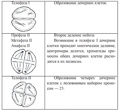 Иллюстрация к книге — Как достичь надежности в близких отношениях и уверенности в себе [pic_15.jpg]