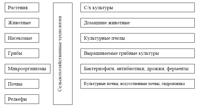 Иллюстрация к книге — &quot;Дикие карты&quot; будущего. Форс-мажор для человечества [i_045.jpg]