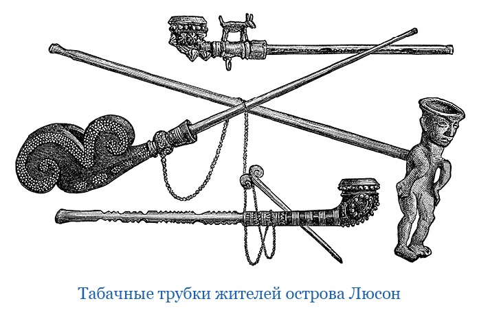 Иллюстрация к книге — Фрегат «Паллада» [i_142.jpg]