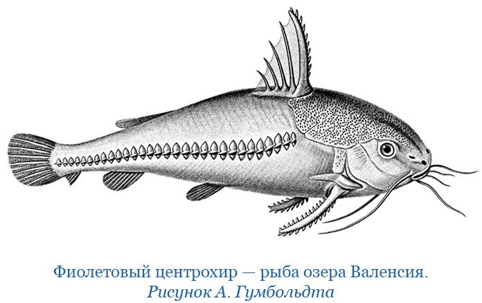 Иллюстрация к книге — Второе открытие Америки [i_046.jpg]
