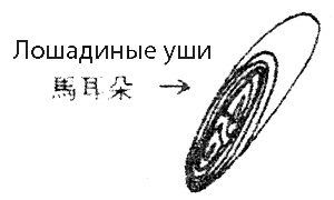 Иллюстрация к книге — Суп из акульего плавника [i_015.jpg]