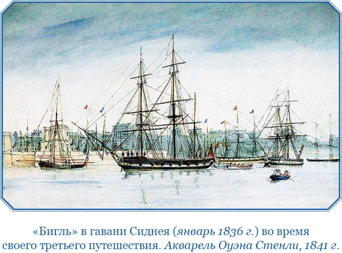 Иллюстрация к книге — Путешествие вокруг света на корабле «Бигль» [i_004.jpg]