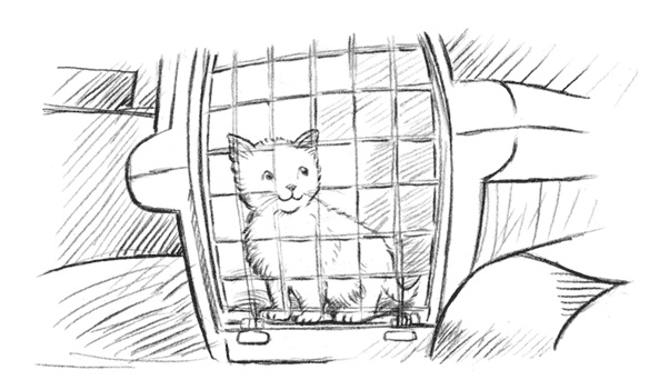Иллюстрация к книге — Энджел. Котенок обретает дом [i_001.jpg]