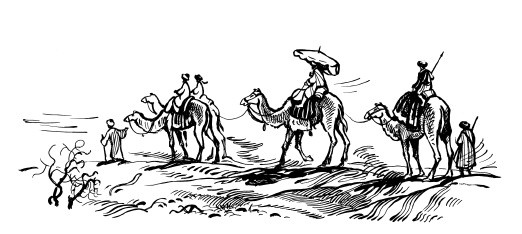 Иллюстрация к книге — За три моря. Путешествие Афанасия Никитина [i_025.jpg]