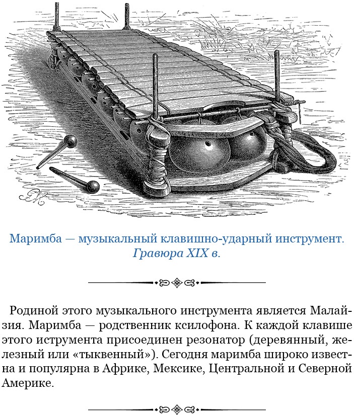 Иллюстрация к книге — Дневники исследователя Африки [i_074.jpg]