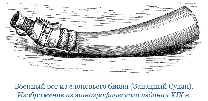 Иллюстрация к книге — Дневники исследователя Африки [i_079.jpg]