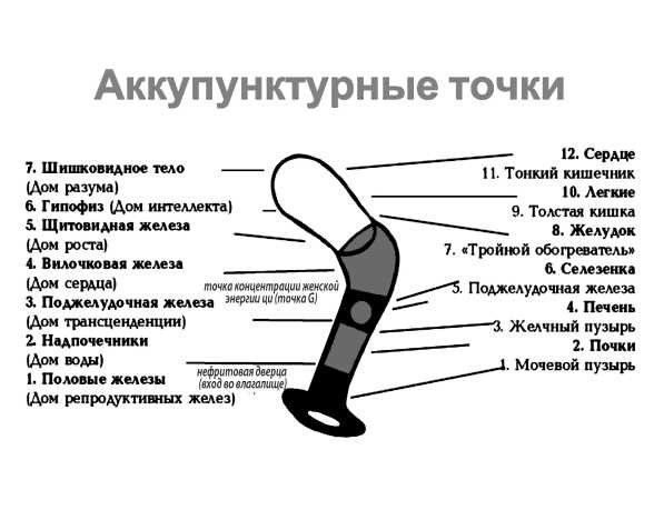 Иллюстрация к книге — 7 минут до оргазма. Книга-тренинг [image10.jpg]