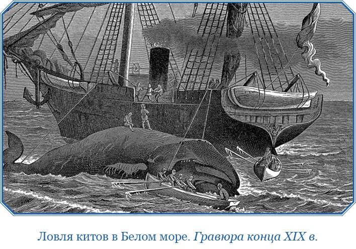 Иллюстрация к книге — «Фрам» в Полярном море [i_094.jpg]