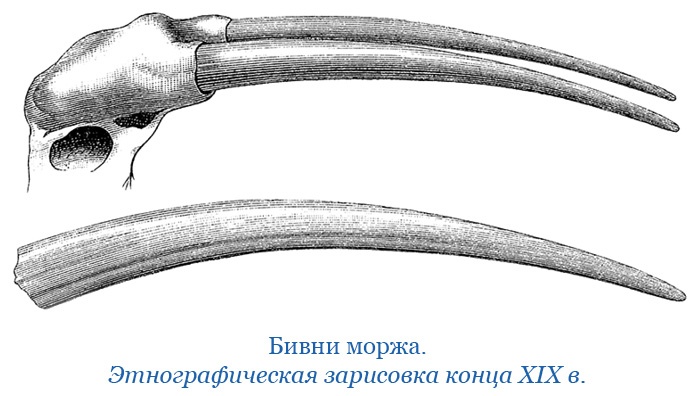 Иллюстрация к книге — По большому льду. Северный полюс [i_055.jpg]