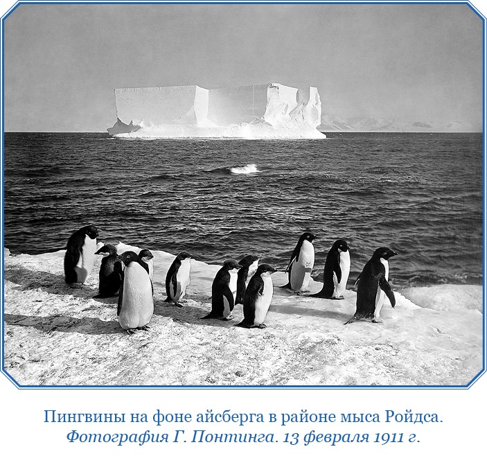 Иллюстрация к книге — Дневники полярного капитана [i_035.jpg]