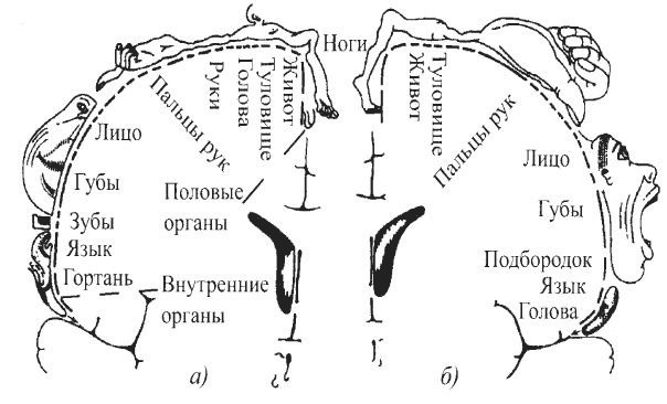 Иллюстрация к книге — Защити свое тело-4. Настроение здоровья [i_002.jpg]