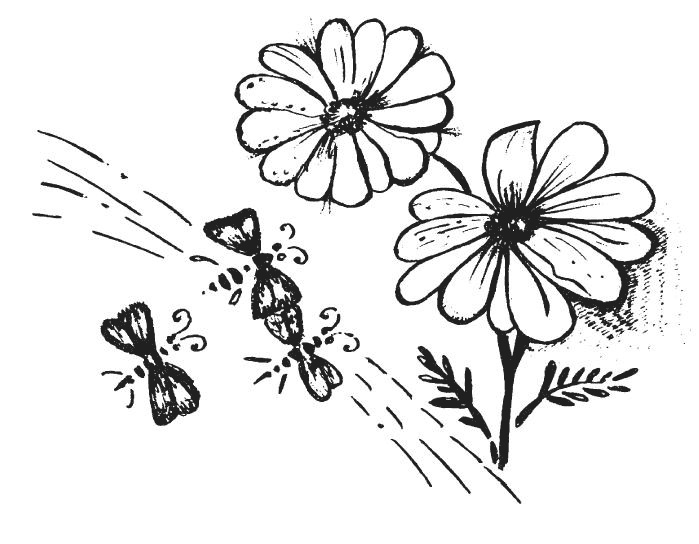 Иллюстрация к книге — Защити свое тело-4. Настроение здоровья [i_005.jpg]