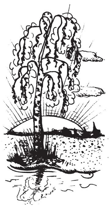 Иллюстрация к книге — Защити свое тело-4. Настроение здоровья [i_014.jpg]