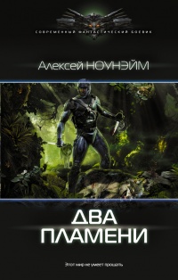 Книга Два пламени Книга Два пламени