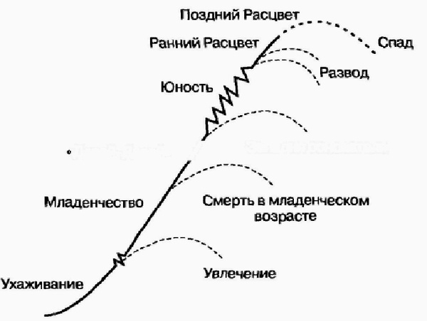 Иллюстрация к книге — Управление жизненным циклом корпорации [img_17.jpg]
