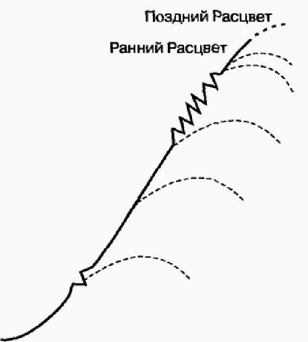 Иллюстрация к книге — Управление жизненным циклом корпорации [img_18.jpg]