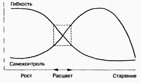 Иллюстрация к книге — Управление жизненным циклом корпорации [img_47.jpg]