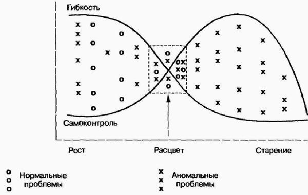 Иллюстрация к книге — Управление жизненным циклом корпорации [img_62.jpg]