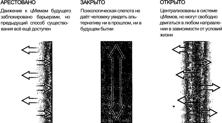 Иллюстрация к книге — Спиральная динамика. Управляя ценностями, лидерством и изменениями в XXI веке [img9d76.jpg]