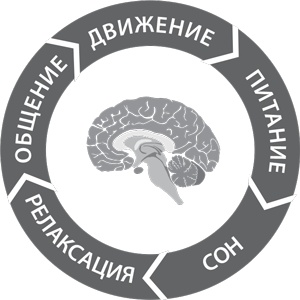 Иллюстрация к книге — Пять правил выдающейся эффективности. Как достигать главных целей без перегрузок и выгорания [i_030.jpg]