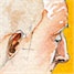 Иллюстрация к книге — Твитономика. Все, что нужно знать об экономике, коротко и по существу [i_095.jpg]