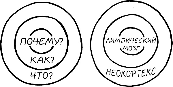 Иллюстрация к книге — Начни с вопроса &quot;Почему?&quot;. Как выдающиеся лидеры вдохновляют действовать [_6.jpg]
