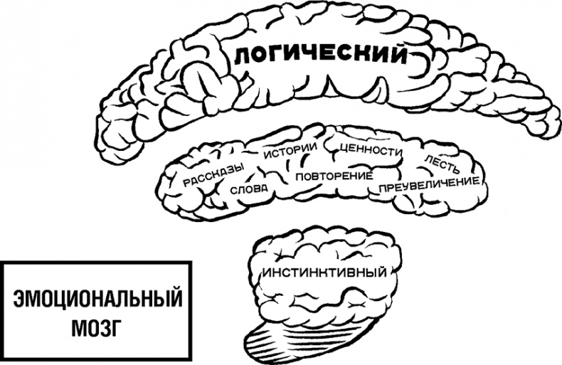 Иллюстрация к книге — Говори, вдохновляй. Как завоевать доверие слушателей и увлечь их своими идеями [i_021.jpg]