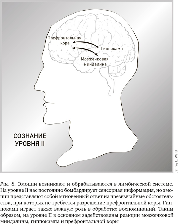 Иллюстрация к книге — Будущее разума [i_009.jpg]