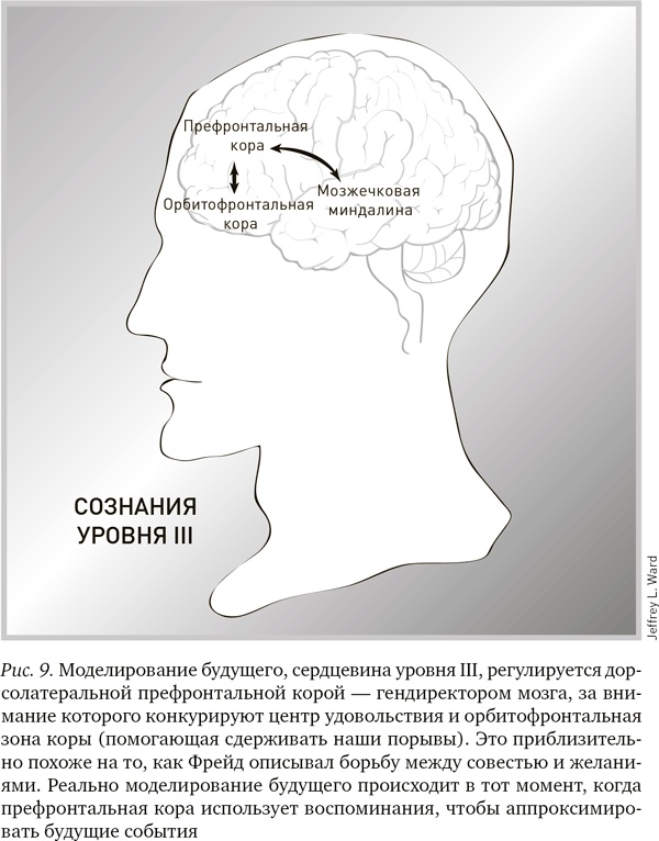 Иллюстрация к книге — Будущее разума [i_010.jpg]