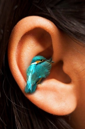 Иллюстрация к книге — 99 законов взрывного пиара. Книга-практикум [i_024.jpg]