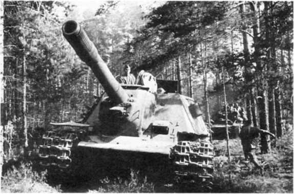 Иллюстрация к книге — Забытое сражение Огненной Дуги [i_029.jpg]