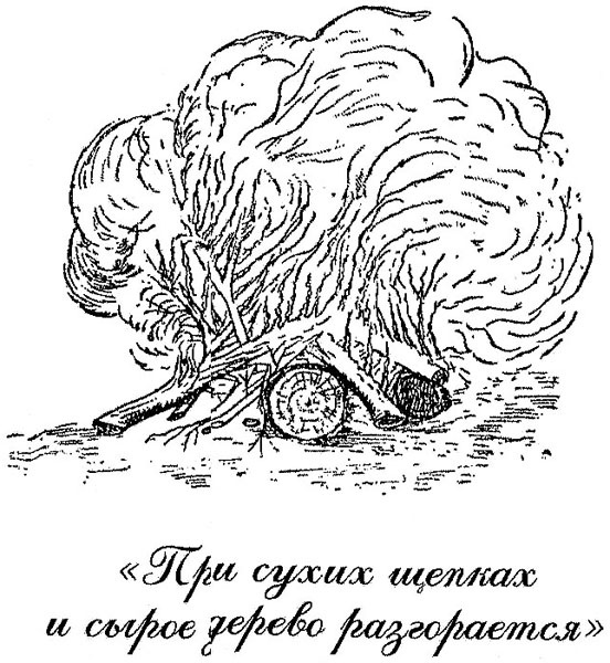 Иллюстрация к книге — 100 уроков лидерства А.В. Суворова для бизнеса [_217.jpg]