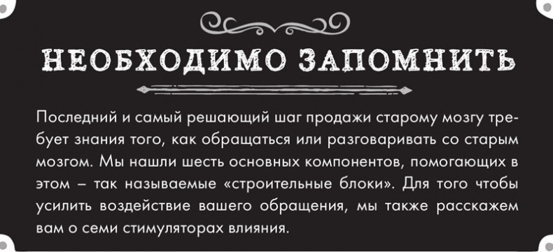 Иллюстрация к книге — Тренинг по нейромаркетингу. Где находится кнопка «Купить» в сознании покупателя? [i_017.jpg]