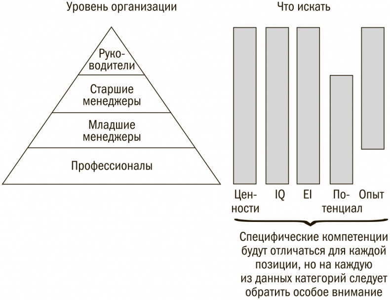 Иллюстрация к книге — Выбор сильнейших. Как лидеру принимать главные решения о людях [i_021.jpg]