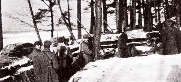 Иллюстрация к книге — Штурм Карпат. Зима 1915 года [i_024.jpg]