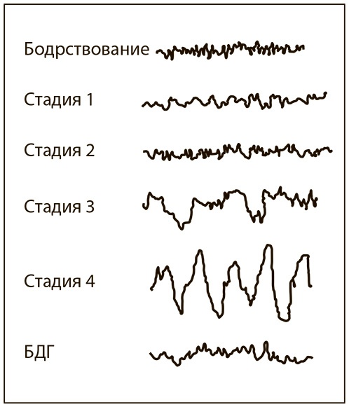 Иллюстрация к книге — Всегда вовремя [i_010.jpg]