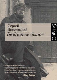 Книга Бездумное былое Книга Бездумное былое