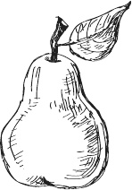 Иллюстрация к книге — 365 салатов и закусок на каждый день [i_012.jpg]