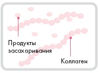 Иллюстрация к книге — Корейская философия красоты. Smart-подход для идеальной кожи без дорогостоящих вложений [i_009.jpg]