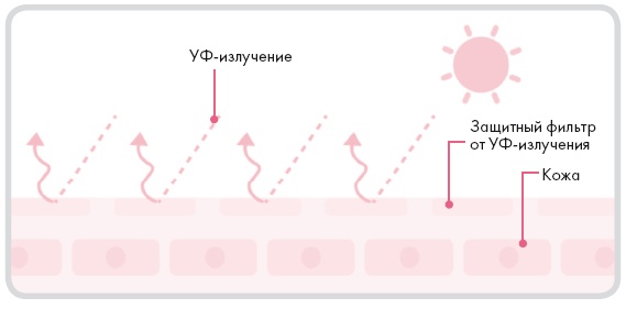 Иллюстрация к книге — Корейская философия красоты. Smart-подход для идеальной кожи без дорогостоящих вложений [i_021.jpg]