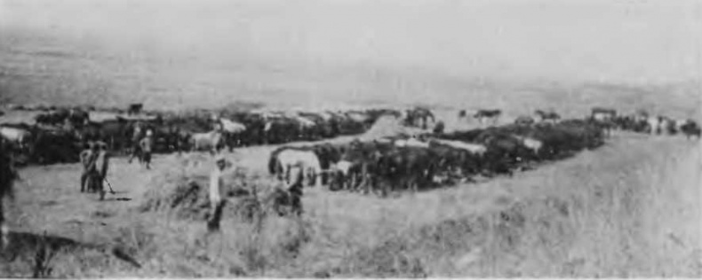 Иллюстрация к книге — Казаки на Кавказском фронте. 1914-1917 [i_020.jpg]