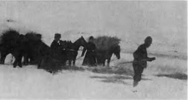 Иллюстрация к книге — Казаки на Кавказском фронте. 1914-1917 [i_031.jpg]