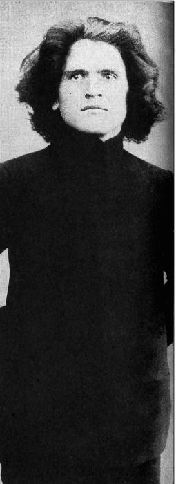 Иллюстрация к книге — Цареубийца. Маузер Ермакова [autogen_ebook_id19.jpg]