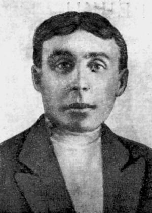 Иллюстрация к книге — Цареубийца. Маузер Ермакова [autogen_ebook_id24.jpg]